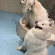 リコ あらら リッチドールなんば店