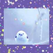 ヒメ日記 2024/12/11 00:30 投稿 イズミ リッチドールなんば店