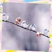 ヒメ日記 2024/12/17 15:02 投稿 イズミ リッチドールなんば店