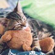 ヒメ日記 2024/12/26 01:00 投稿 イズミ リッチドールなんば店