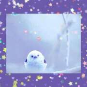 ヒメ日記 2024/12/29 00:30 投稿 イズミ リッチドールなんば店