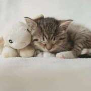 ヒメ日記 2024/12/30 00:30 投稿 イズミ リッチドールなんば店