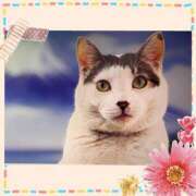 ヒメ日記 2025/03/03 00:30 投稿 イズミ リッチドールなんば店