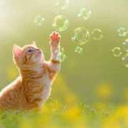 ヒメ日記 2025/03/30 00:30 投稿 イズミ リッチドールなんば店