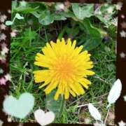 ヒメ日記 2025/04/08 00:30 投稿 イズミ リッチドールなんば店