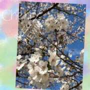 ヒメ日記 2025/04/09 00:30 投稿 イズミ リッチドールなんば店