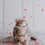 ヒメ日記 2025/04/12 00:30 投稿 イズミ リッチドールなんば店