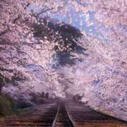 ヒメ日記 2025/04/13 00:30 投稿 イズミ リッチドールなんば店