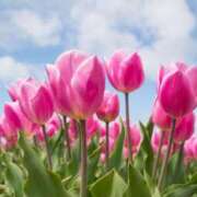 ヒメ日記 2025/04/21 00:30 投稿 イズミ リッチドールなんば店