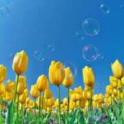 ヒメ日記 2025/05/14 00:30 投稿 イズミ リッチドールなんば店