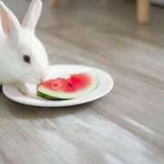 ヒメ日記 2025/06/07 00:36 投稿 イズミ リッチドールなんば店