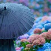 ヒメ日記 2025/06/12 00:46 投稿 イズミ リッチドールなんば店