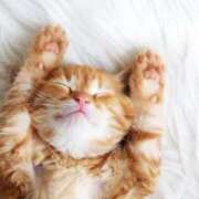 ヒメ日記 2025/06/14 00:36 投稿 イズミ リッチドールなんば店