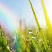 ヒメ日記 2025/06/17 00:36 投稿 イズミ リッチドールなんば店