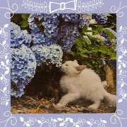 ヒメ日記 2025/06/20 00:46 投稿 イズミ リッチドールなんば店