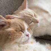 ヒメ日記 2025/06/24 00:46 投稿 イズミ リッチドールなんば店