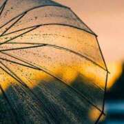 ヒメ日記 2025/06/26 00:50 投稿 イズミ リッチドールなんば店