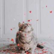 ヒメ日記 2025/07/02 15:07 投稿 イズミ リッチドールなんば店