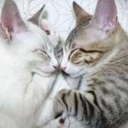 ヒメ日記 2025/07/14 00:36 投稿 イズミ リッチドールなんば店