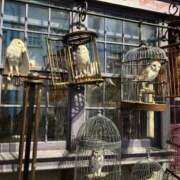 ヒメ日記 2025/07/19 00:46 投稿 イズミ リッチドールなんば店