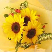 ヒメ日記 2025/08/02 00:46 投稿 イズミ リッチドールなんば店