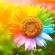 ヒメ日記 2025/08/26 00:36 投稿 イズミ リッチドールなんば店