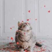 ヒメ日記 2025/08/29 00:46 投稿 イズミ リッチドールなんば店