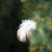 ヒメ日記 2025/09/09 00:26 投稿 イズミ リッチドールなんば店