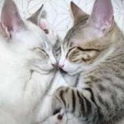 ヒメ日記 2025/09/10 01:03 投稿 イズミ リッチドールなんば店