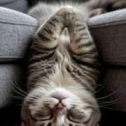 ヒメ日記 2025/09/14 00:36 投稿 イズミ リッチドールなんば店