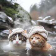 ヒメ日記 2025/09/24 00:46 投稿 イズミ リッチドールなんば店