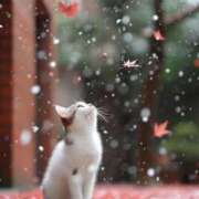 ヒメ日記 2025/09/26 00:46 投稿 イズミ リッチドールなんば店