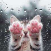 ヒメ日記 2025/09/30 00:46 投稿 イズミ リッチドールなんば店