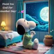 ヒメ日記 2025/11/17 00:46 投稿 イズミ リッチドールなんば店