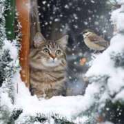 イズミ ☆*ɢᵒᵒᵈ ɴⁱᵍʰᵗ *☪︎｡( ᜊ°-° )ᜊ リッチドールなんば店