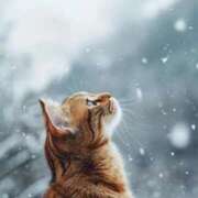 イズミ 🧸𝔾𝕠𝕠𝕕 𝕟𝕚𝕘𝕙𝕥‪☽︎‪︎.*·̩͙‬  ︎︎☁︎︎🧸💛 リッチドールなんば店