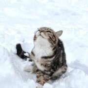 ヒメ日記 2025/12/12 19:46 投稿 イズミ リッチドールなんば店