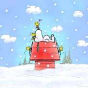 ヒメ日記 2026/01/13 00:36 投稿 イズミ リッチドールなんば店