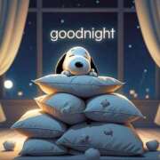 ヒメ日記 2026/01/30 00:36 投稿 イズミ リッチドールなんば店