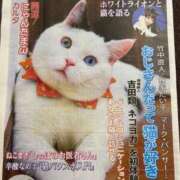 ヒメ日記 2026/02/18 00:46 投稿 イズミ リッチドールなんば店