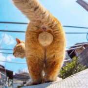 ヒメ日記 2026/02/20 00:46 投稿 イズミ リッチドールなんば店