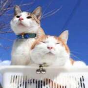 ヒメ日記 2026/02/23 00:46 投稿 イズミ リッチドールなんば店