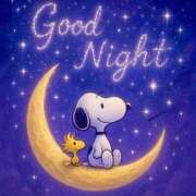 ヒメ日記 2026/03/12 00:36 投稿 イズミ リッチドールなんば店