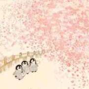 ヒメ日記 2026/03/24 00:46 投稿 イズミ リッチドールなんば店