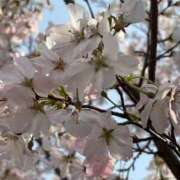 ヒメ日記 2026/04/01 17:26 投稿 イズミ リッチドールなんば店