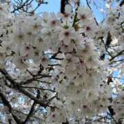 ヒメ日記 2026/04/04 00:46 投稿 イズミ リッチドールなんば店