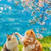 ヒメ日記 2026/04/04 23:06 投稿 イズミ リッチドールなんば店