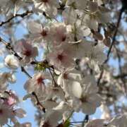 ヒメ日記 2026/04/06 00:46 投稿 イズミ リッチドールなんば店