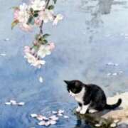 ヒメ日記 2026/04/08 17:56 投稿 イズミ リッチドールなんば店