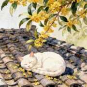 ヒメ日記 2026/04/11 00:46 投稿 イズミ リッチドールなんば店